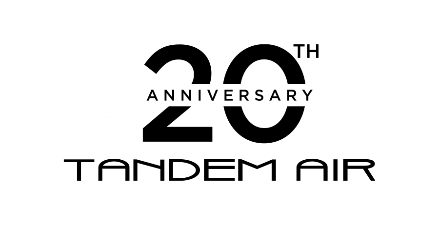 20th Anniversary Logo