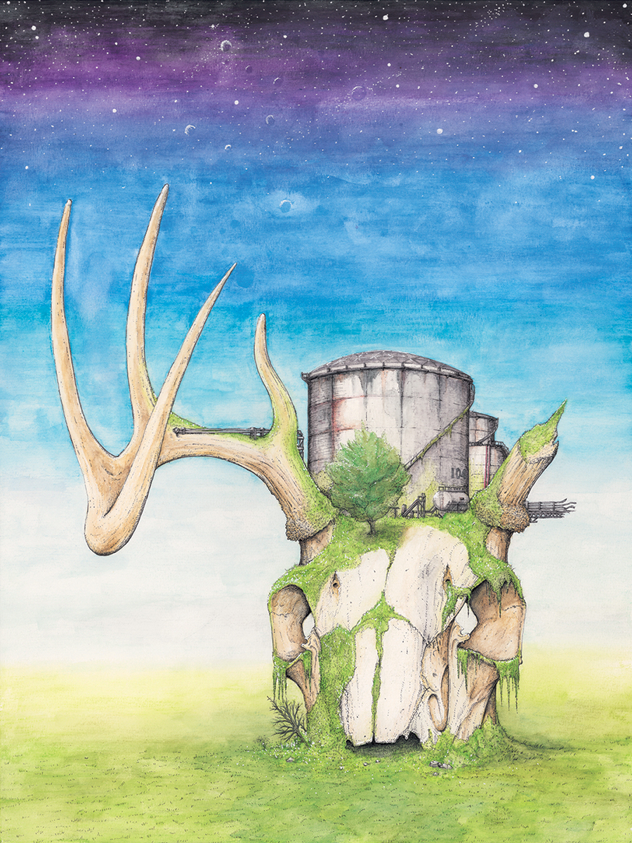 deer